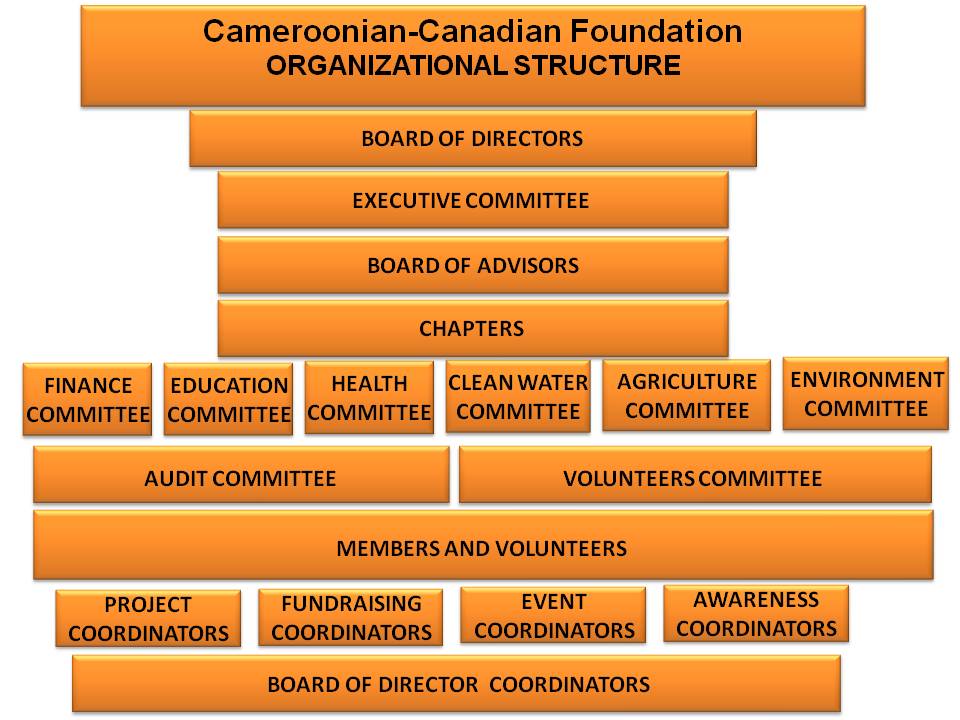 2015-CCF-organizational-structure